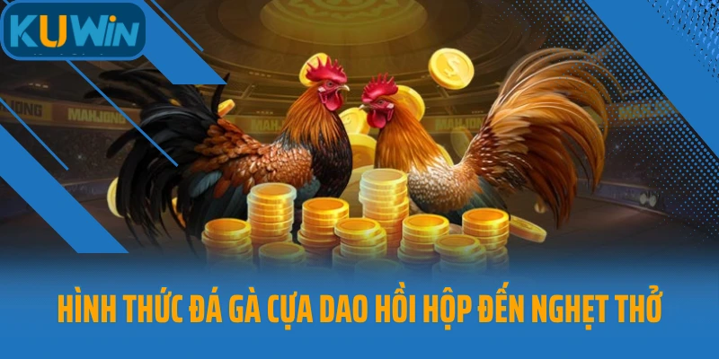 Hình thức đá gà cựa dao hồi hộp đến nghẹt thở