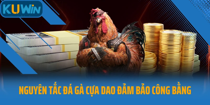 Nguyên tắc đá gà cựa dao đảm bảo công bằng